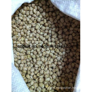 8mm Kabuli Chickpeas From China